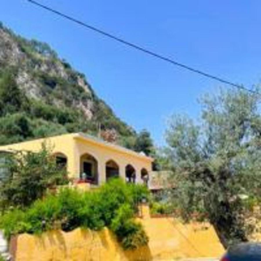 Vassilis Apartments Палеокастрица Екстериор снимка